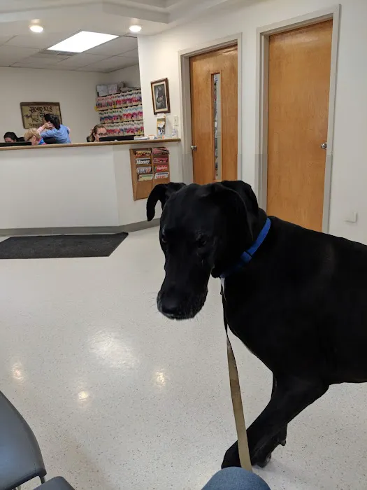 VCA Ho-Ho-Kus Animal Hospital 12