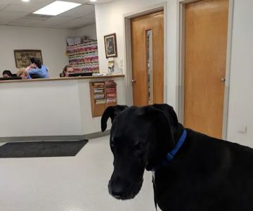 VCA Ho-Ho-Kus Animal Hospital
