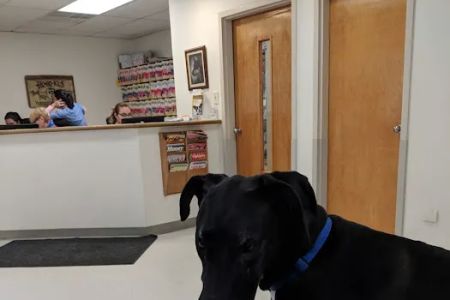 VCA Ho-Ho-Kus Animal Hospital