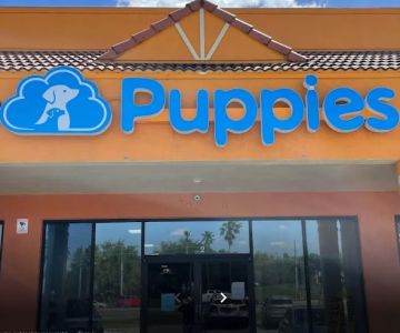 Blue Sky Puppies Orlando