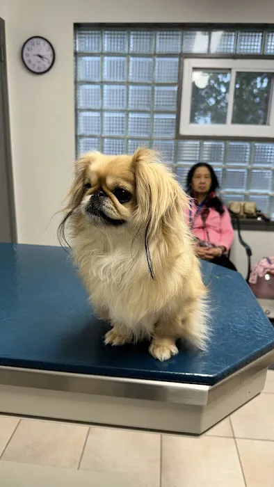 Valley Brook Veterinary Hospital 12