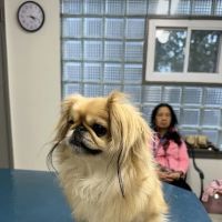 Valley Brook Veterinary Hospital ico
