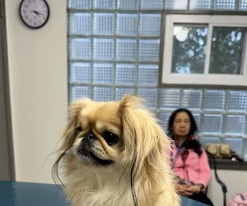 Valley Brook Veterinary Hospital