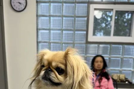 Valley Brook Veterinary Hospital