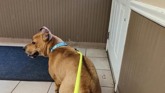 Valley Brook Veterinary Hospital 12