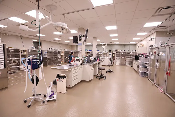 BluePearl Pet Hospital 2