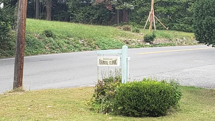 Paramus Animal Clinic 12