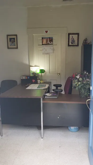Paramus Animal Clinic 12