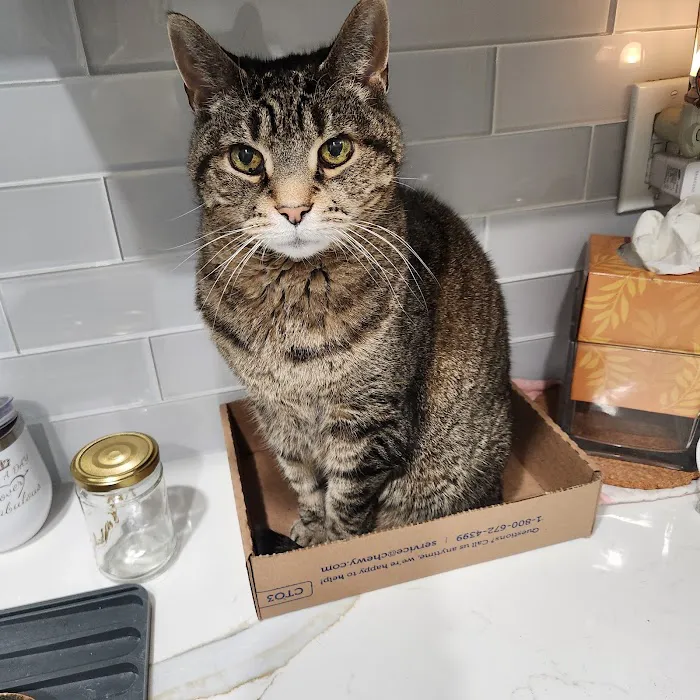 Oradell Animal Hospital - Paramus 10