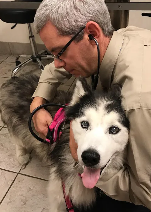Oradell Animal Hospital - Paramus 3
