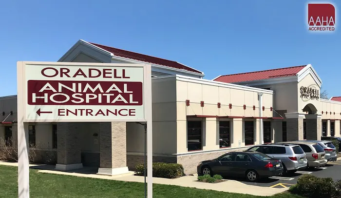 Oradell Animal Hospital - Paramus 1