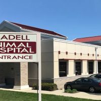 Oradell Animal Hospital - Paramus ico