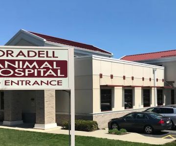 Oradell Animal Hospital - Paramus