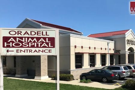 Oradell Animal Hospital - Paramus