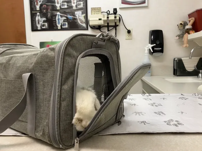 Oradell Animal Hospital - Paramus 8
