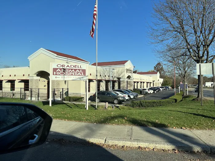 Oradell Animal Hospital - Paramus 5