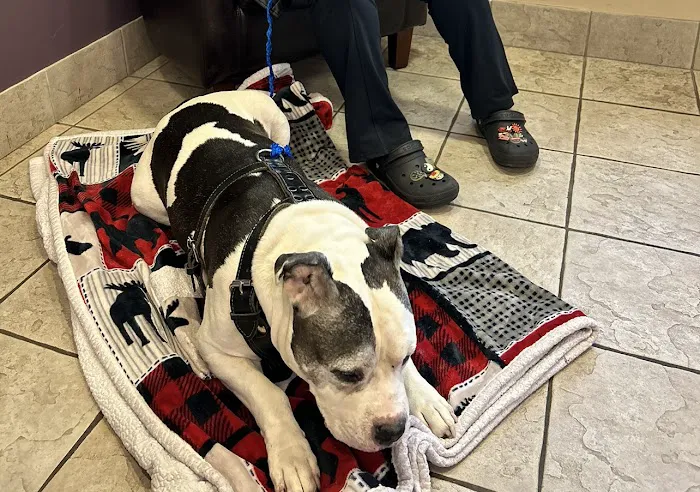 Oradell Animal Hospital - Paramus 4
