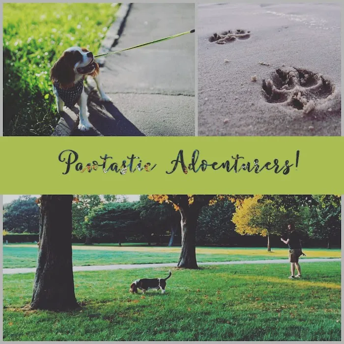 Pawtastic Pet Supply Co. 12