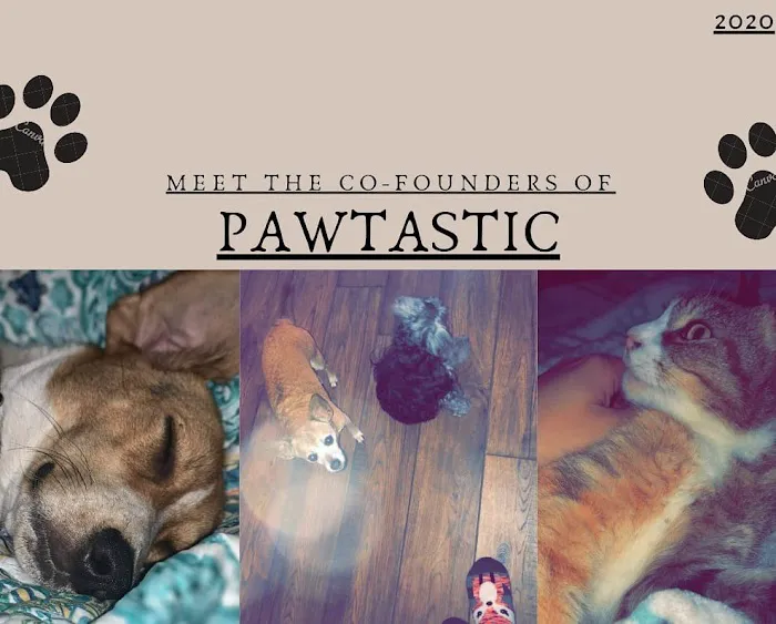 Pawtastic Pet Supply Co. 12