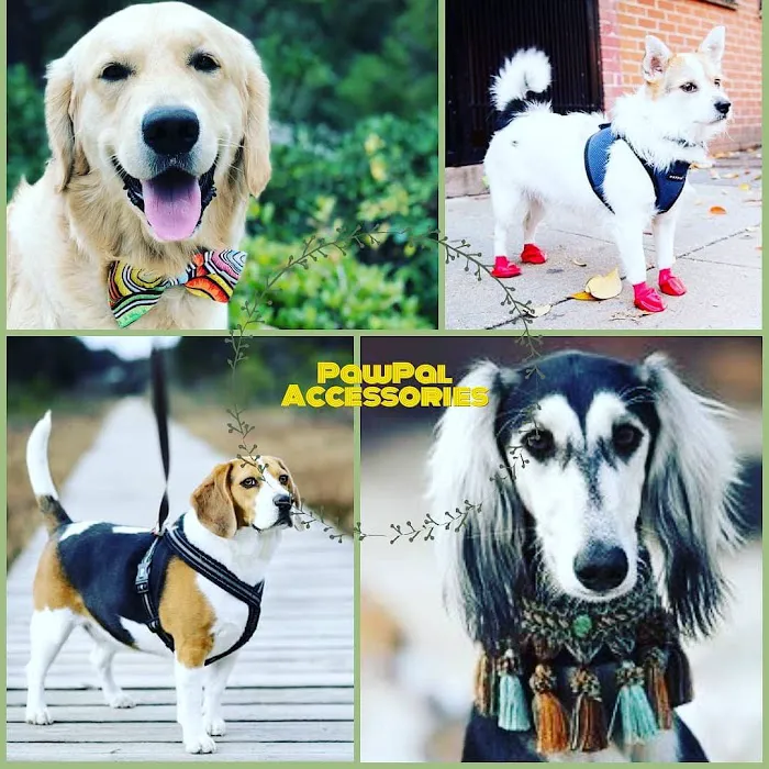 Pawtastic Pet Supply Co. 12