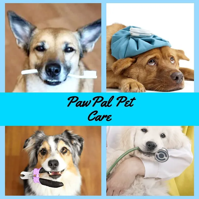 Pawtastic Pet Supply Co. 12