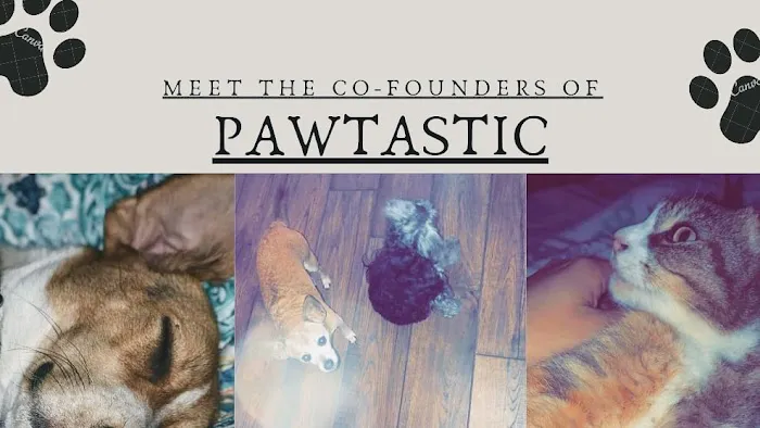 Pawtastic Pet Supply Co. 12