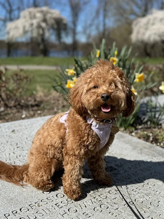 Farview Animal Clinic Paramus 12
