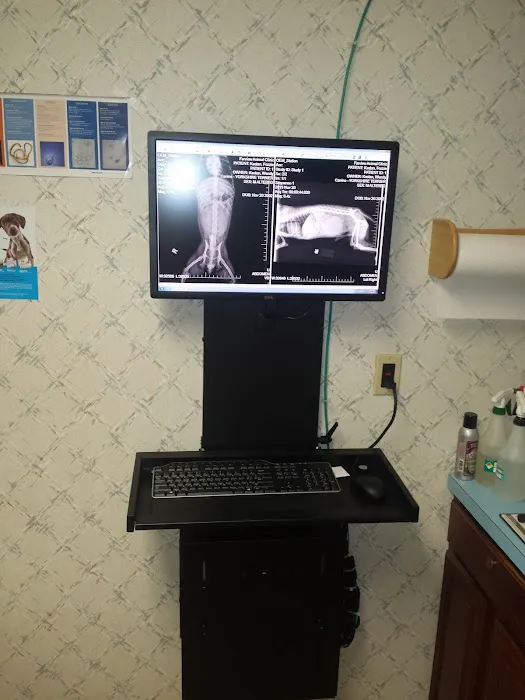 Farview Animal Clinic Paramus 12