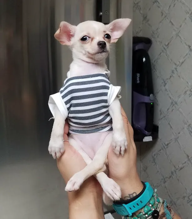 Farview Animal Clinic Paramus 12