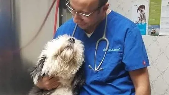 Farview Animal Clinic Paramus 12