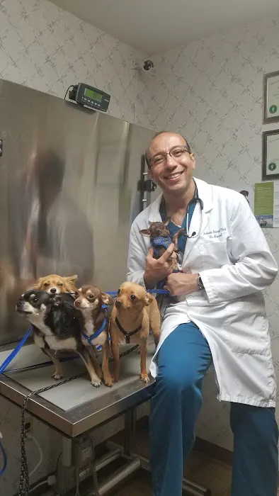 Farview Animal Clinic- Paramus Dr Mosaad 8