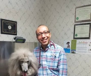 Farview Animal Clinic- Paramus Dr Mosaad