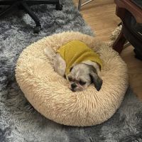Veterinary Emergency Group ico