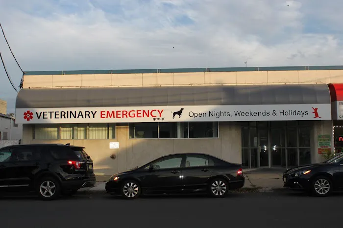 Veterinary Emergency Group 12