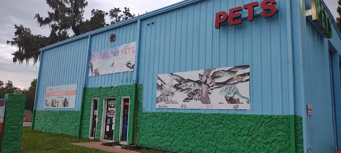 Pipsqueeks Pets 12