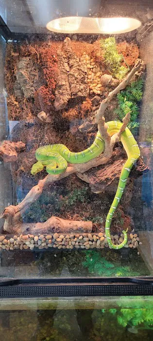 Pipsqueeks Pets 12