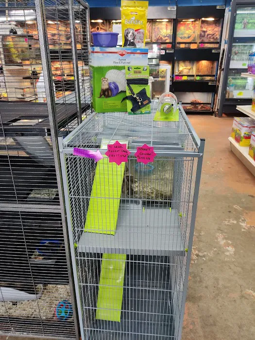 Pipsqueeks Pets 12