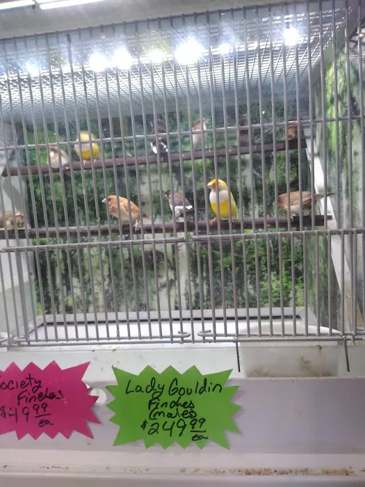 Pipsqueeks Pets 12