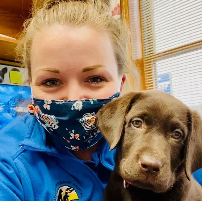 Madison Veterinary Hospital 9