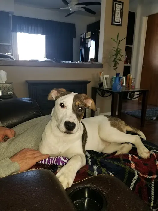 Michigan Anti Cruelty Vet Clinic 3