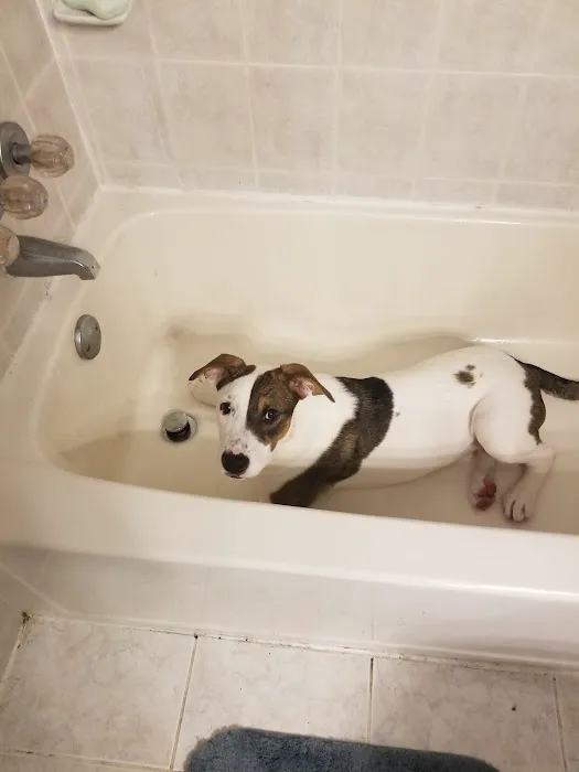 Michigan Anti Cruelty Vet Clinic 2