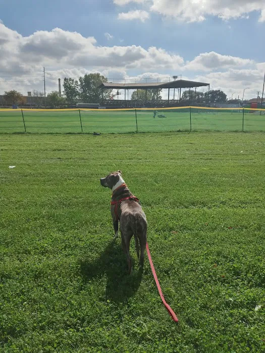 Michigan Anti Cruelty Vet Clinic 8