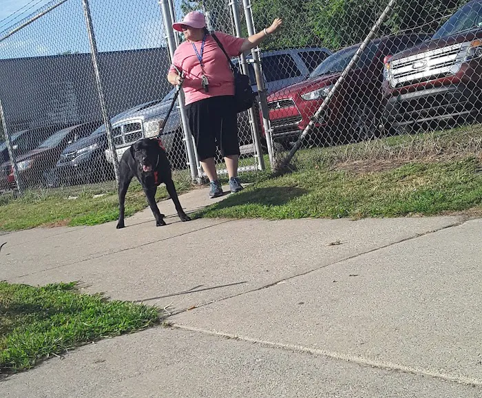 Michigan Anti Cruelty Vet Clinic 6