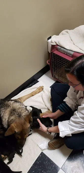 Little Friends of Ferndale Veterinary Care 7