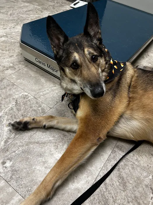 Spartan Veterinary Clinic 9