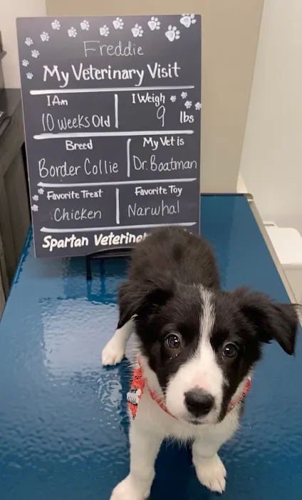 Spartan Veterinary Clinic 8