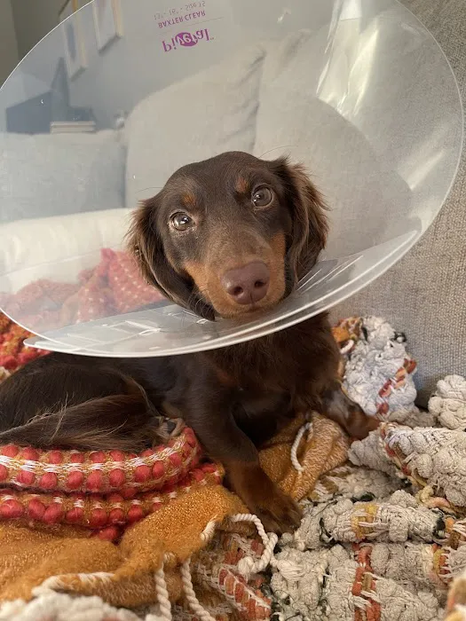 Spartan Veterinary Clinic 5