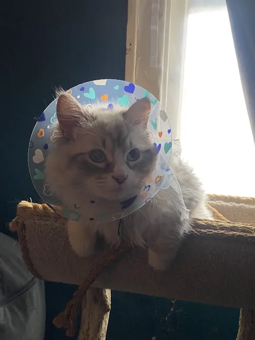 Hilton Veterinary Clinic of Ferndale 6