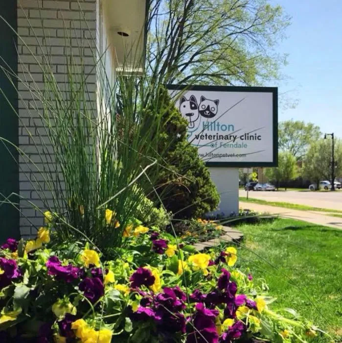Hilton Veterinary Clinic of Ferndale 10