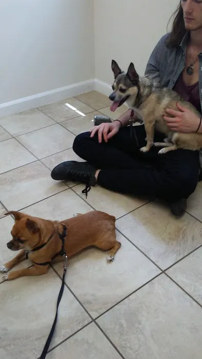 Hilton Veterinary Clinic of Ferndale 7